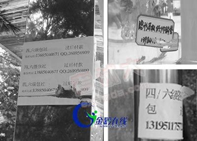 �ٽ��������������׹�淺�ĸ�УУ԰(ͼ)