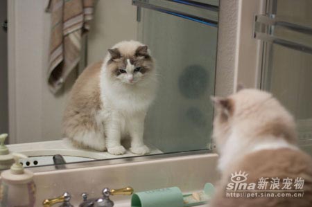 �й���ܵ�ʦ��ӭ��ʮ���о���(ͼ)(5)