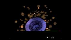 2016考研心理学：生物学基础与胎儿发育(图文)