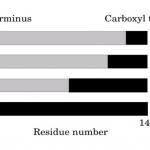 2009复旦大学生物化学考研真题试卷试题