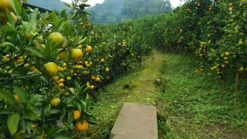 80���о�����ѧ1����΢������������ҵ����ָ������������Ȧ