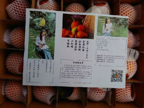 80���о�����ѧ1����΢������������ҵ����ָ������������Ȧ