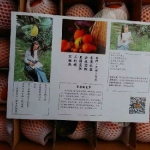 �о�����ѧ��΢������������ҵ����ָ������Ȧ