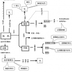 浙江大学生物化学期末考试复习资料