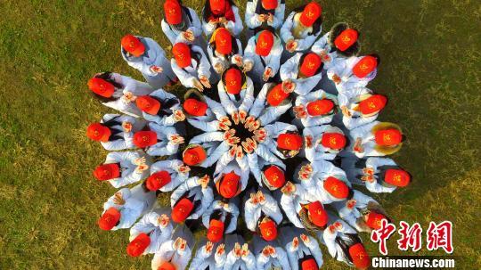 ͼΪ��ѧ�������������̲����ӡ����ϵ��� ��