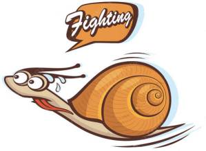 �۽���2016��˶ʿ����רҵ����ϵ��