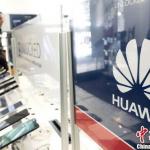 ��Ϊ��Ƹ8��Ӧ�춥�ⲩʿ�� ��н���201��(ͼ��)