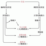 医学遗传学重点总结-医学遗传学笔记(期末考研复试)