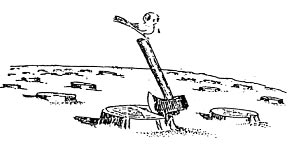 考研英语写作30篇范文:环境保护